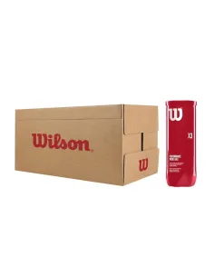 Cajon 24 Botes Wilson Padel X3 Ball | Ofertas de pádel 2